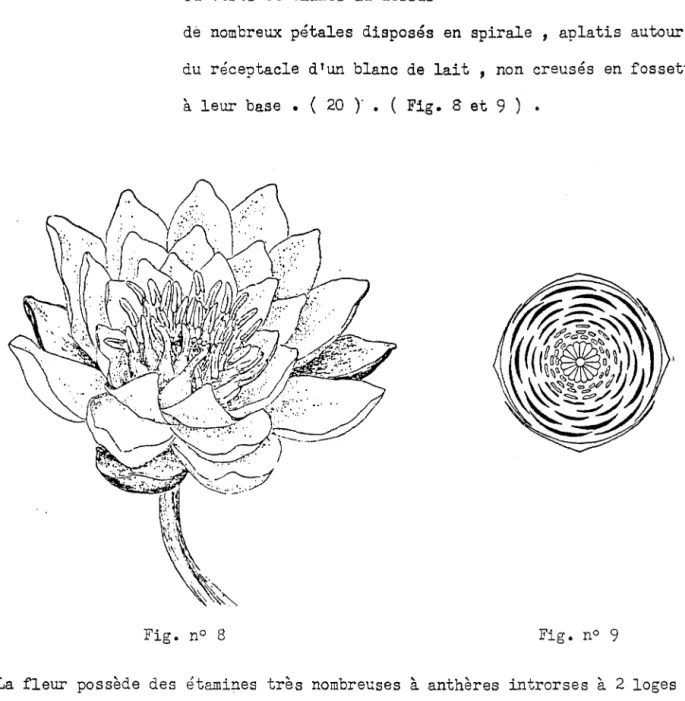 Fig.  n°  8  Fig.  n°  9 