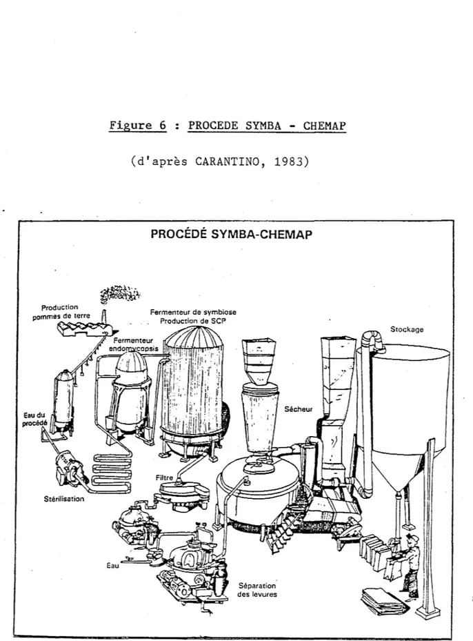 Figure  6  :  PROCEDE  SYMBA  - CHEMAP  (d'après  CARANTINO,  1983) 