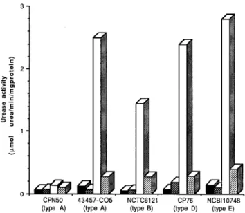 FIG. 6. Urease activity expressed by various C. perfringens strains grown under nitrogen-limiting conditions