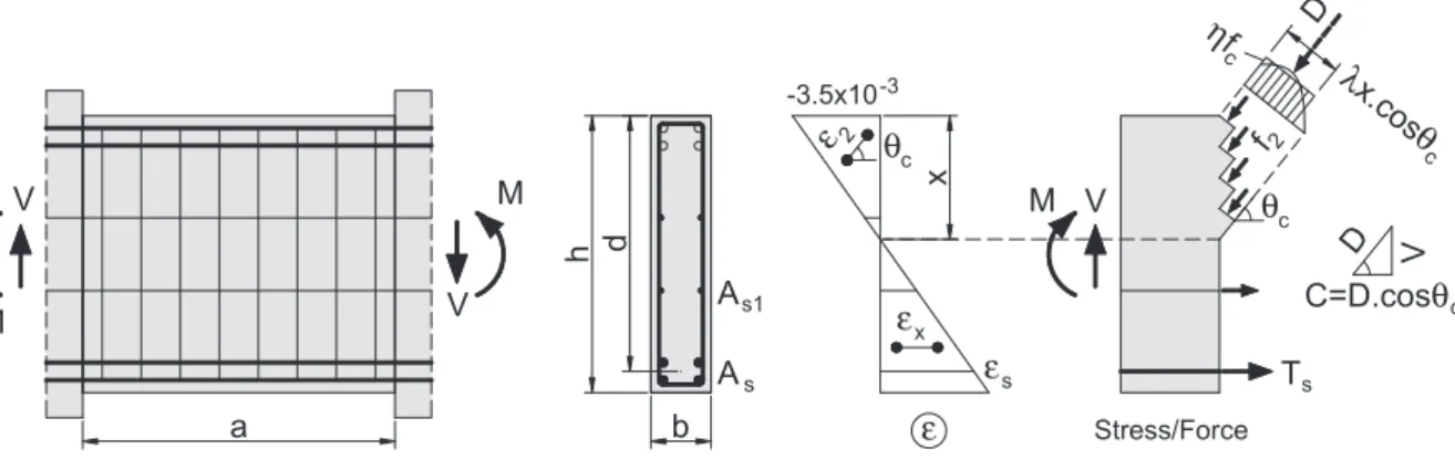 Fig. 10. Proposed model for the shear-flexure interaction in the end sections of short coupling beams.