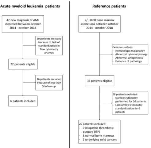 Table 1. Clinical, cytogenetical, and molecular characteristics of six acute myeloid leukemia (AML)  patients