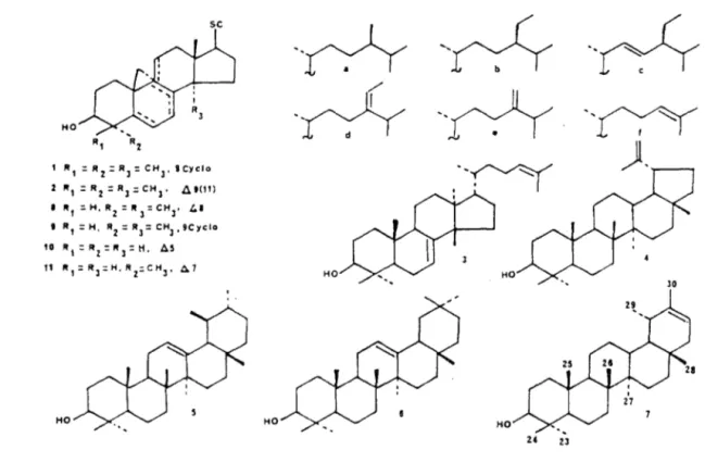 Figure  11:  Stérols,  méthyl-4 stérols  et alcools  tri terpéniques  du  beurre de sal  (Shorea robusta)