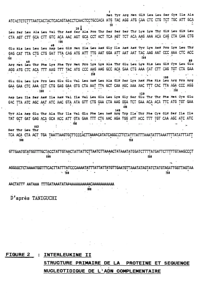 FIGURE  2  INTERLEUKINE  II 