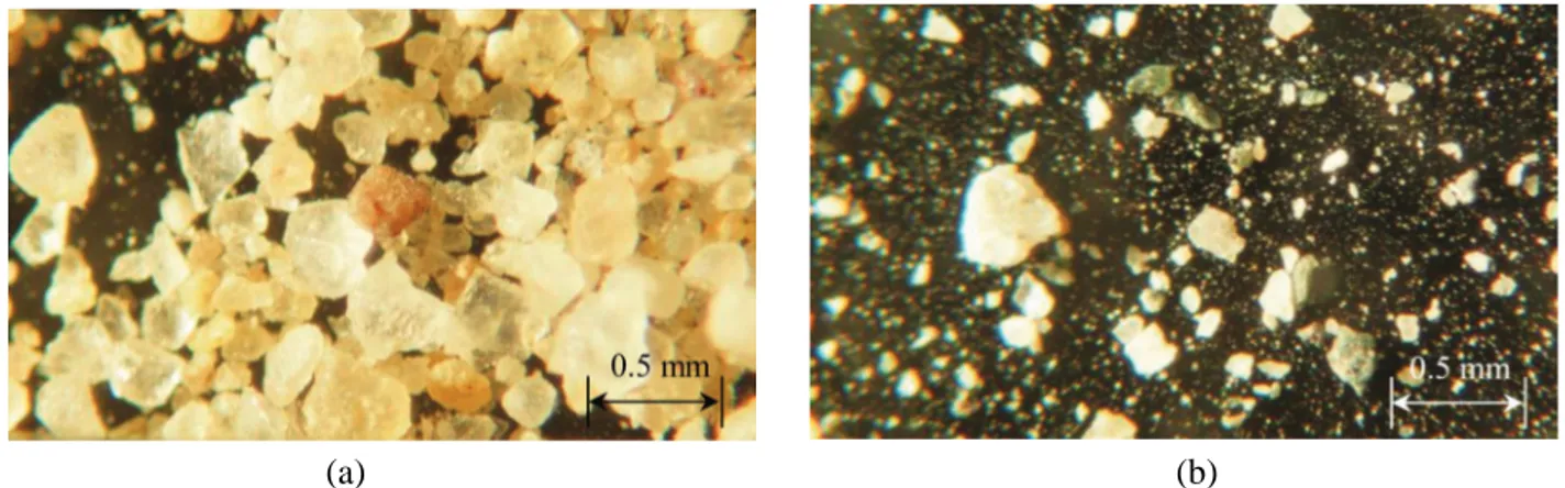 Fig. 2. Microscopic images of two types of fine aggregate: (a) RS and (b) CR. 