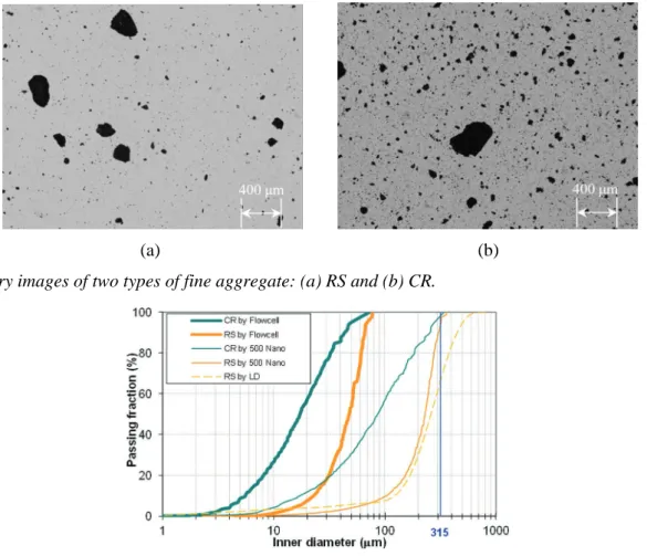 Fig. 3. Binary images of two types of fine aggregate: (a) RS and (b) CR. 