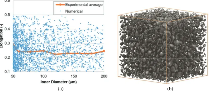 Fig. 9. A numerical simulation of RS particles with ellipsoids: (a) distribution of elongation and (b) its  visualized loose packed DEM model