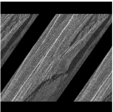Figure 2.  Squared modulus of sample image. 