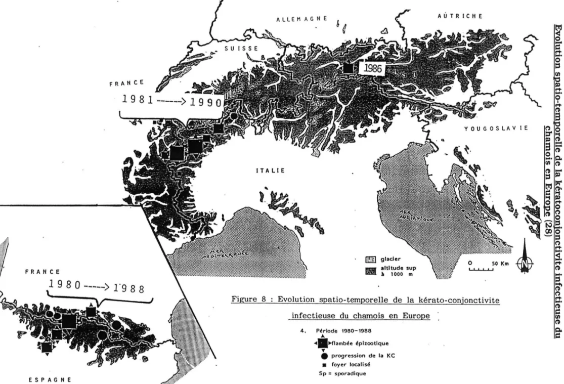 Figure  8  :  Evolution  spatio-ternporelle  de  la  kérato-conjonctivite  0:  ('D  infectieuse  du  chamois  en  Europe 