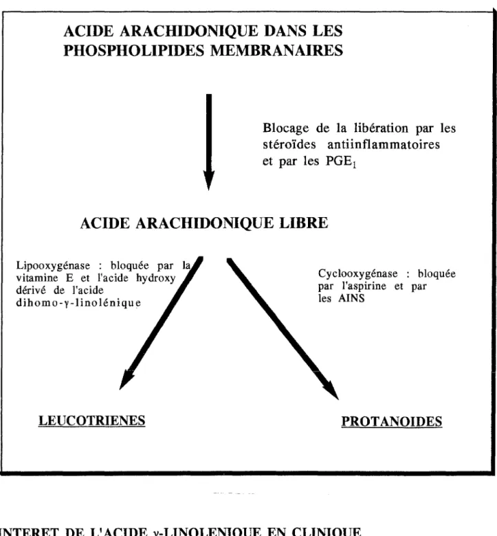 Tableau  V  :Point  d'impact  des  médicaments  antiinflammatoires 