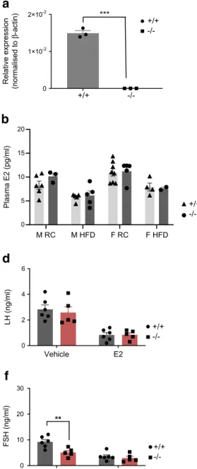 Fig. 5 Effect of deletion of C2cd4b on sex hormones and hormone release from the pituitary gland