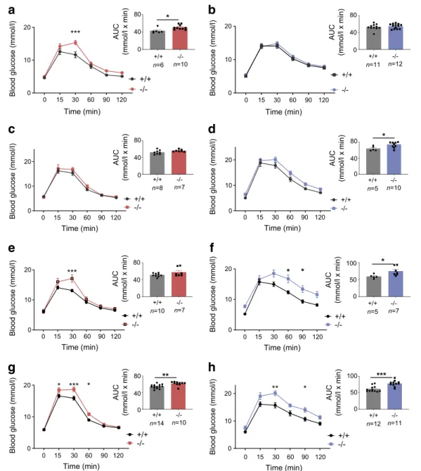 Fig. 3 C2cd4b-null mice display glucose intolerance in glucose tolerance tests (IPGTTs/OGTTs)