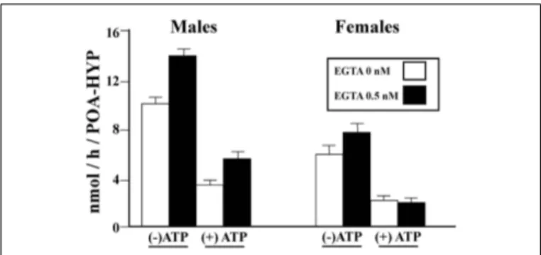 FIGURE 5 | Calcium-dependent changes in aromatase activity in the male and female quail HPOA