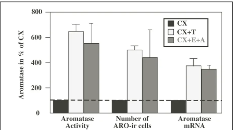 FIGURE 1 | Effects of the treatment of castrated (CX) male quail with testosterone (T) or with estrogens (E) in combination with