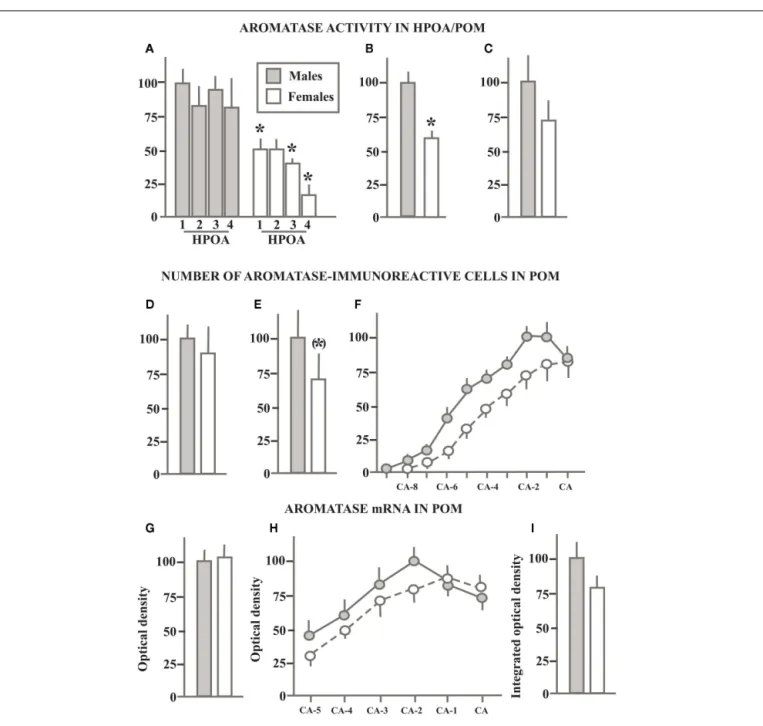 FIGURE 3 | Schematic summary of experiments that compared in sexually mature gonadally intact male and female quail the aromatase activity in the preoptic area (A) or in the medial preoptic nucleus specifically (B,C), the number of 