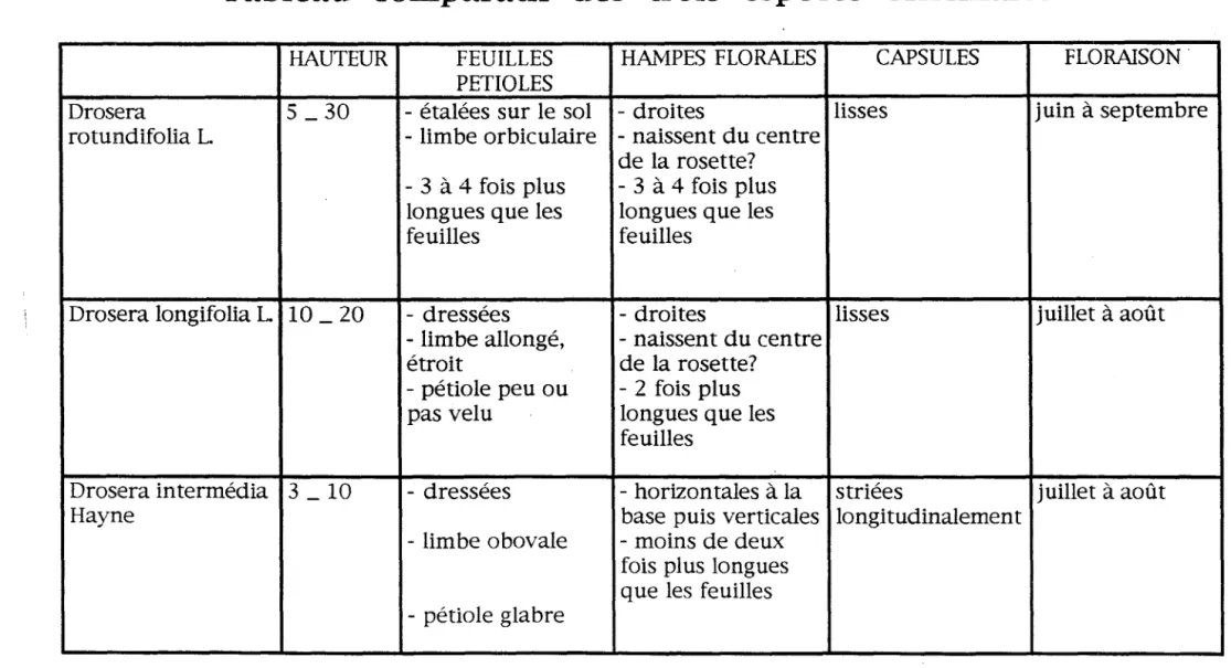 Tableau  comparatif  des  trois  espèces  officinales 