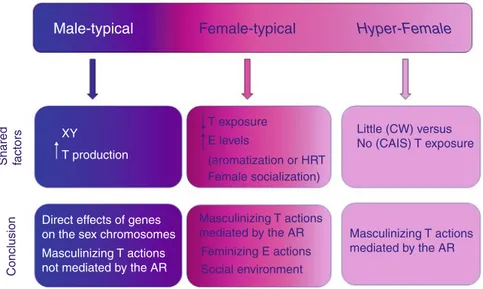 Fig. 1 Implications of male- and female-typical ﬁ ndings in women with CAIS. The upper boxes summarize the factors that women with CAIS share with the group of reference