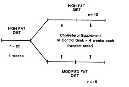 Figure 8 selon Kestin et al.  (52)  Protocole expérimental  HIGH  FAT  DIET  n= 25  4  weeks  HIGH  FAT DIET  n .