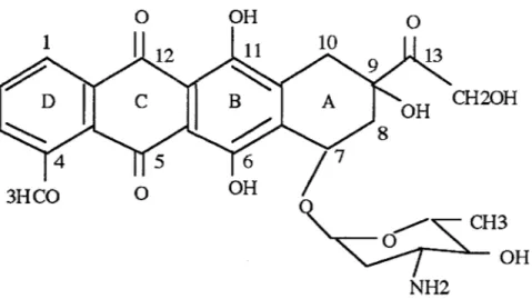 Figure 4:  structure de l'adriamycine. 
