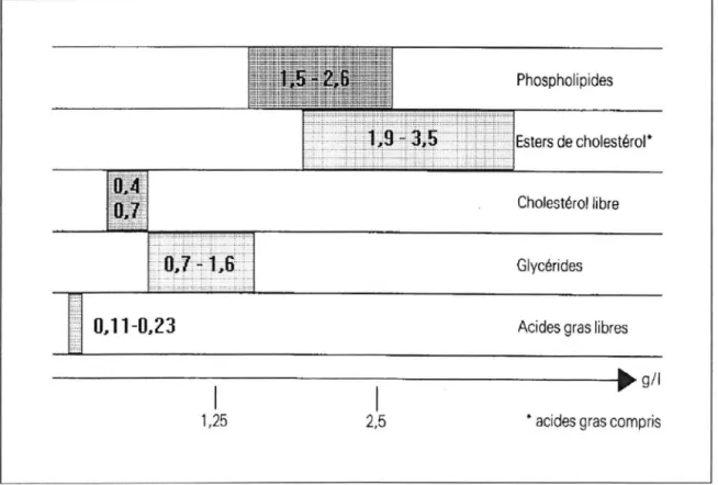 FIG.  1 : REPARTITION  PONDERALE  DES  PRINCIPALES  CLASSES  DE  LIPIDES  DANS  UN  EXTRAIT LIPIDIQUE NORMAL (5.5 A  7.5  G/L DE  SERUM)  (5) 