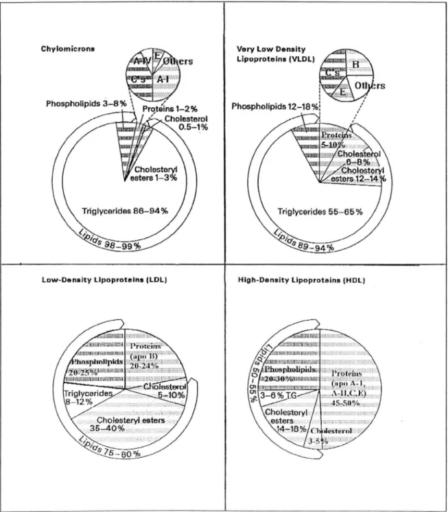 FIG.  12  : COMPOSITION OF  LIPOPROTEINS  (21)  rs 