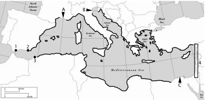Fig. 9. Geographical distribution of P. oceanica (solid black line). 1: Gibraltar; 2: Almeria; 3: Oran; 4: 
