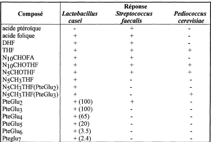Tableau  XIII:  Réponse  des  micro-organismes  aux  différentes  formes  de  folates:(68) 
