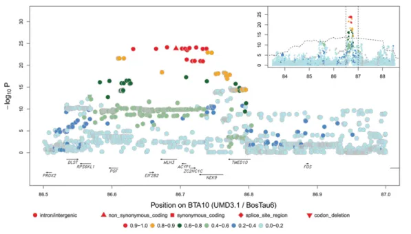 Figure 4. Cf. Figure 2 for BTA10 QTL (21.23 Mb) in males.