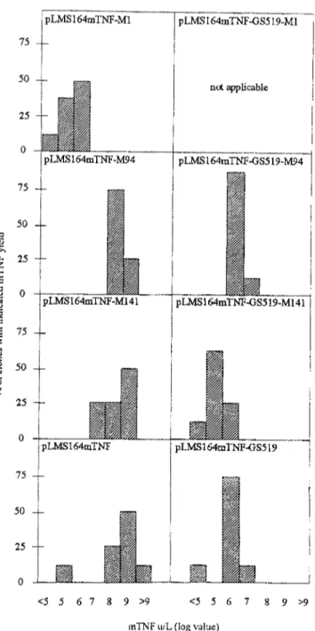 Fig. 3  Northern blot analysis ofmRNA ofS.  lividans  TK24 contain-  ing (a) pIJ486, (b) pLMS164mTNF-M1, (c) pLMS164mTNF-M141,  (d)  pLMS164mTNF,  (e)  pLMS164mTNF-GS519-M141  and  (f)  pLMS164mTNF-GS519