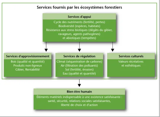 Figure 1 – Services fournis pas les écosystèmes forestiers adressés dans cette étude et leur relation avec le  bien-être humain (modiﬁé à partir de MEA 4 , S EPÄLÄ  et al