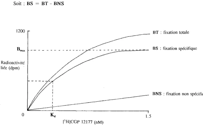 Figure  3.  Fixation  du  [3H]CGP  12177  sur  les  récepteurs  Bi-adrénergiques  ventriculaires d'un rat témoin