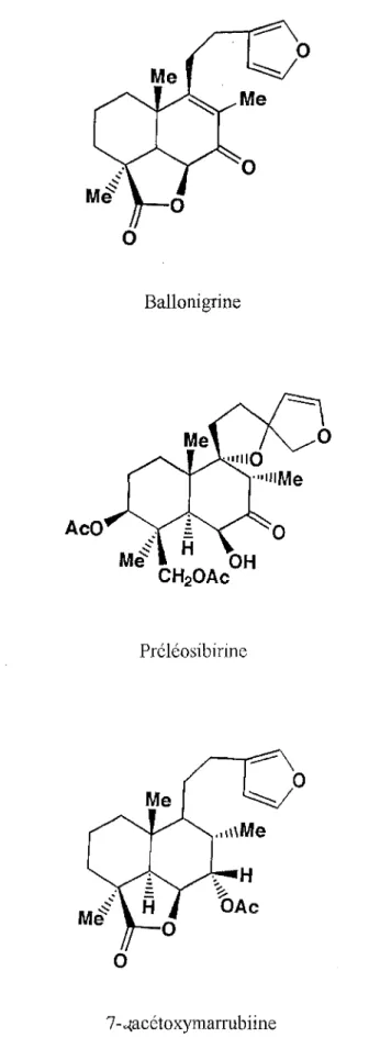 Figure 11  :  Structure des di terpènes présents chez  Ballota nigra 