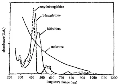 Figure 10: Spectre d'absorption des pigments du derme 17 