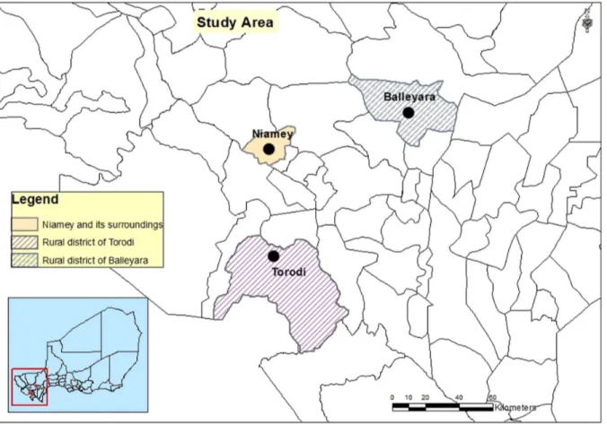 Figure 1. Location of the study areas in Niger.