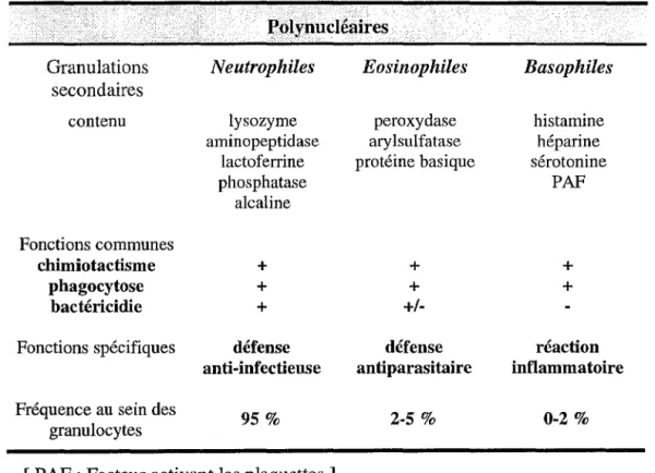 Tableau 1 : Classification des polynucléaires (d'après Genetet, 1994). 