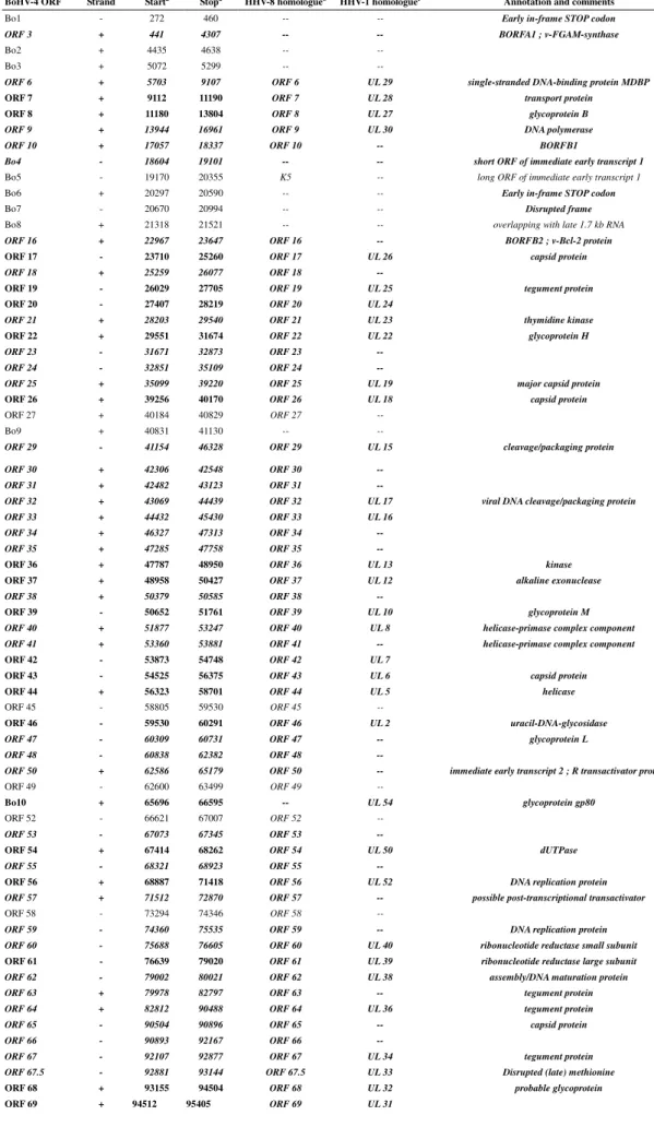 Table 3  - Potential BoHV-4 V.test ORFs and homologues to HHV-8 and HHV-1 