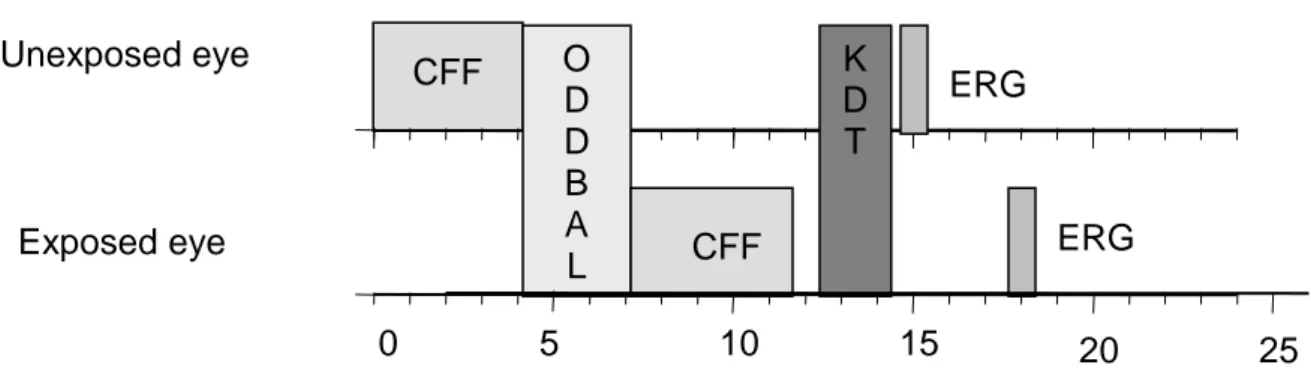 Figure  3:  Diagrammatic  representation  of  each  test  session.  Time  (minutes)  is  shown  on  the  horizontal  axis