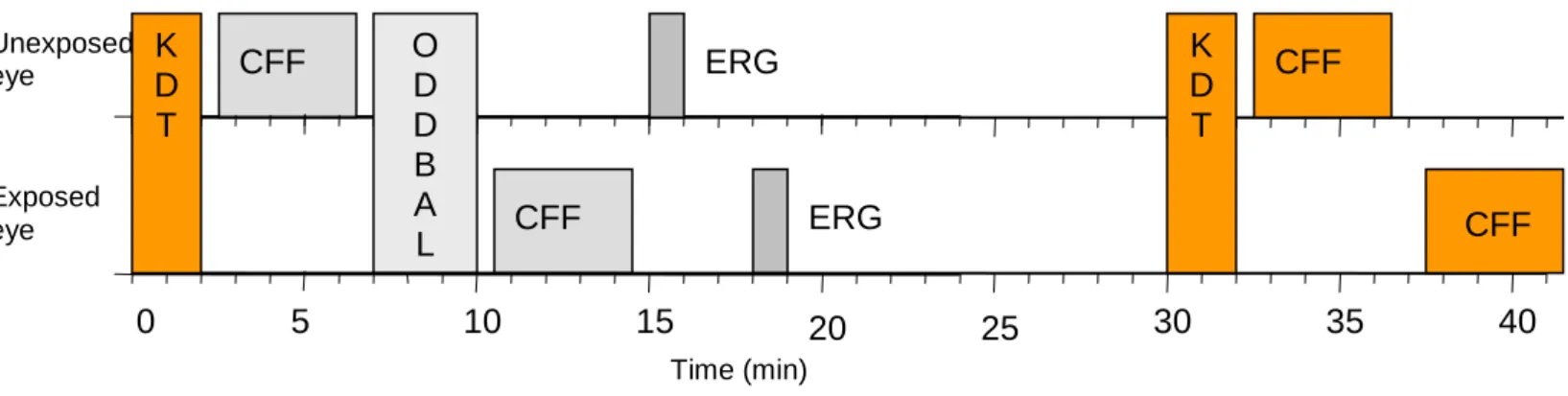 Figure 10: Diagrammatic representation of each test session in the modified protocol. Time (minutes) is shown  on the horizontal axis