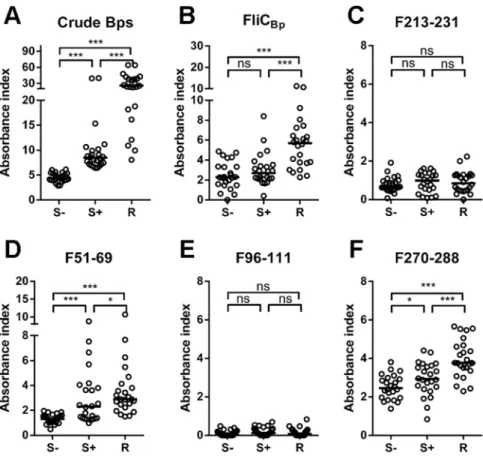 Fig 3. Distribution of human antibody against B . pseudomallei related proteins and peptides among seronegative (S-; n = 24), seropositive (S+; n = 24) and melioidosis recovered individuals (R; n = 24), detected by Indirect ELISA