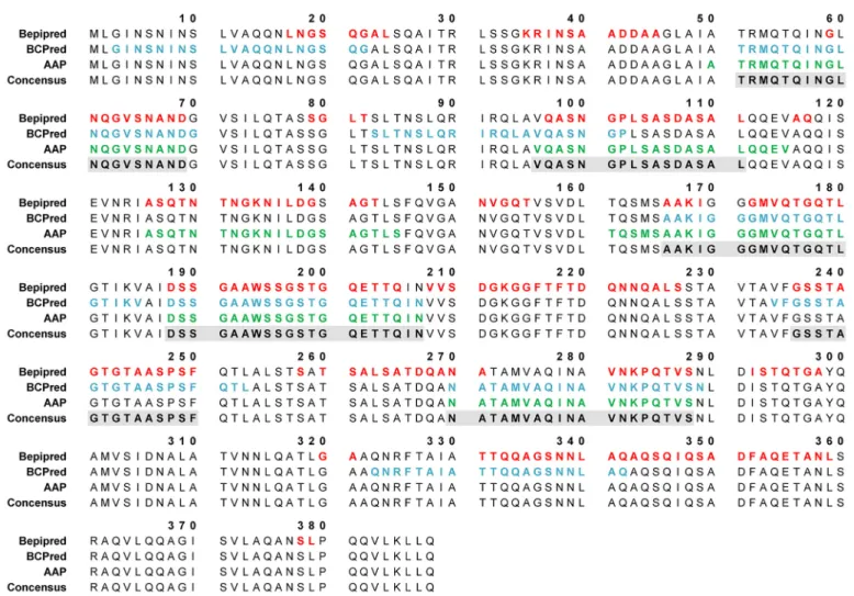 Fig 1. FliC Bp B-cell linear sequence-based epitope predictions using three predictor methods: BepiPred (threshold = 0.35), BCPred (classifier specificity = 75%), and AAP (classifier specificity = 75%)