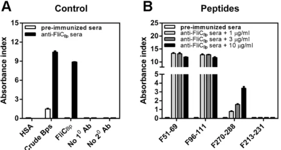 Fig 2. Recognition of predicted epitope peptides by rabbit anti-FliC Bp sera as detected by Indirect ELISA