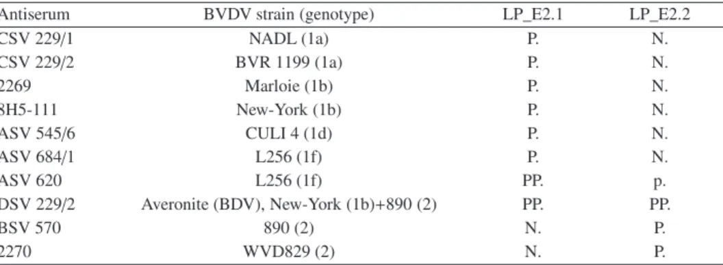 Table III. Specific recognition of BVDV-1 and BVDV-2 E2 by bovine antisera. Reactivity to type I and type E2 was detected on COS cells transfected with sequence-optimised constructs using  anti-BVDV antisera and anti-bovine secondary antibody conjugated to