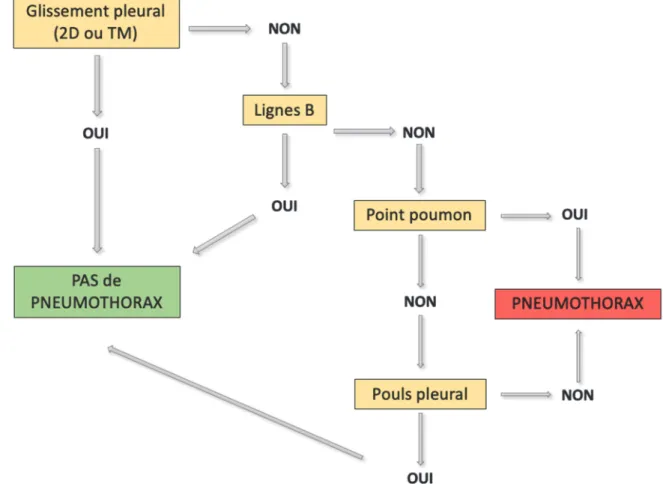 Figure 5 : Algorithme diagnostic échographique du PNO. 
