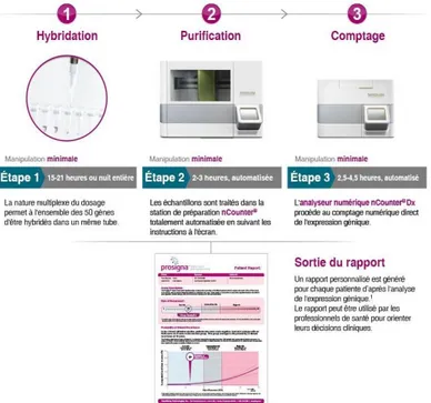 Figure 8 : Etapes du test Prosigna® 