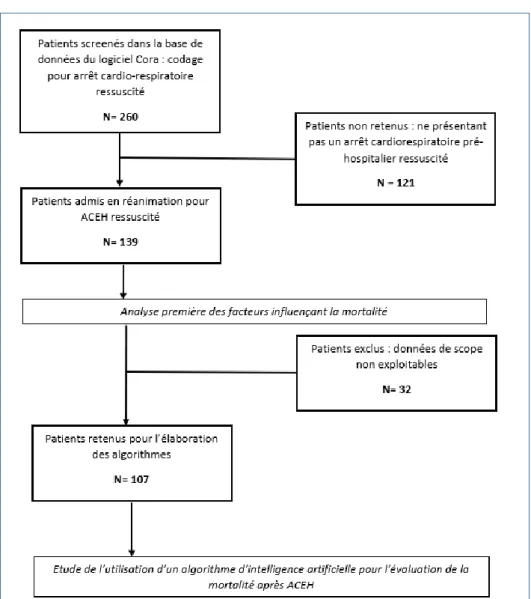 Figure 1. Flow Chart de l’étude 