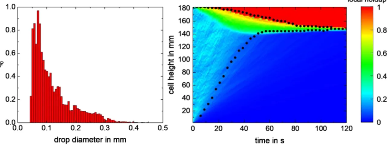 Fig. 1:  Simulation of settling experiment with the ReDrop tool