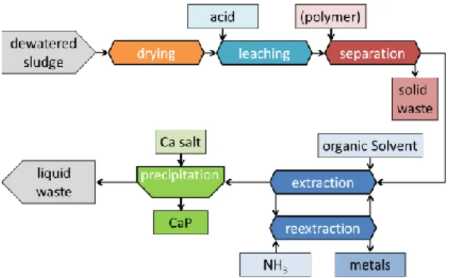 Fig. 1:  Simplified process flowsheet of PULSE  process  