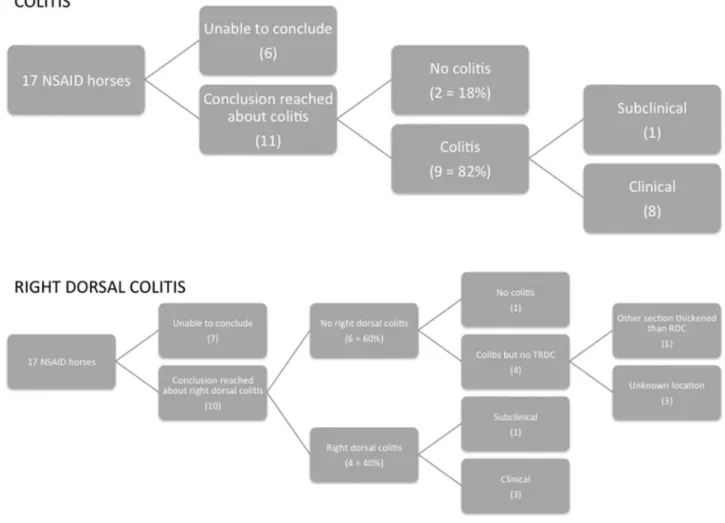 Fig.  2. Grouping  of  NSAID horses  with  regards to  colitis  and  right  dorsal colitis deﬁnitions