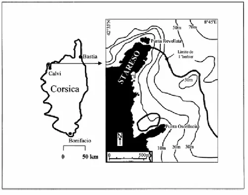 Fig. 6 : Localisation de la station de recherche STARESO (D’après Gobert et al., 2003)
