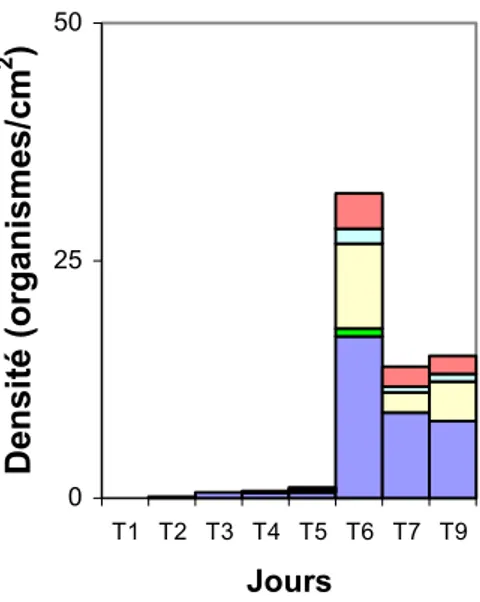 Fig. 11 : Evolution de la densité des organismes appartenant aux grands taxa (en nombre d’organismes par cm 2 )  en fonction du temps, sur les feuilles naturelles