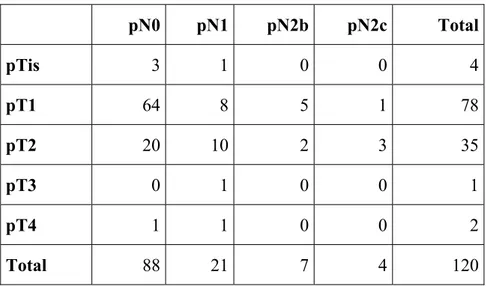 Table 2 – FINAL STAGING pTNM 